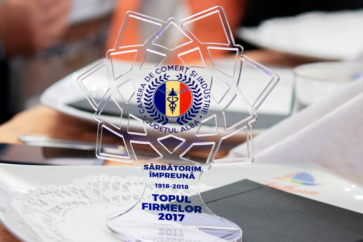 Premiul iflow premiata la gala topului judetean al firmelor 2017