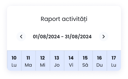 raport activități